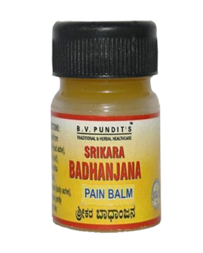 BV Pandit Srikara Badhanjana Pain Balm