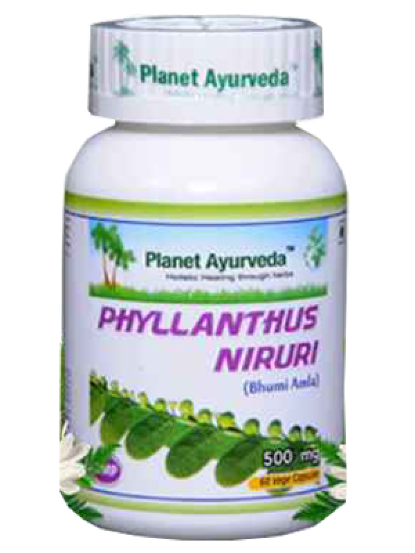 Planet Ayurveda Phyllanthus Niruri Capsule