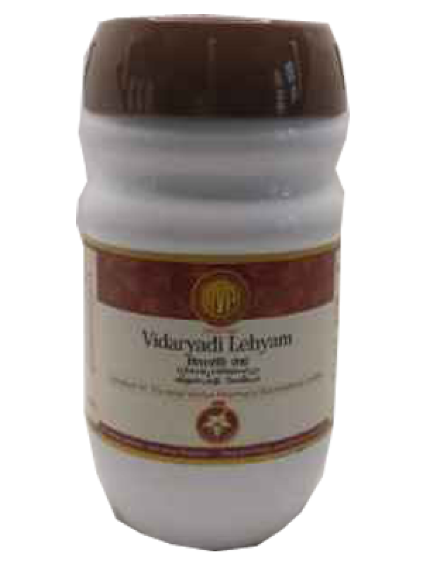 AVP Vidaryadi Leyham